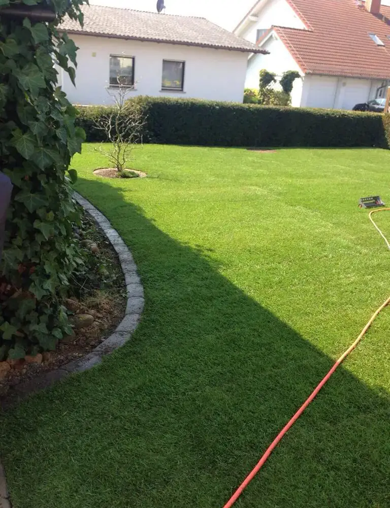 Gepflasterte Einfahrt mit Entwässerungsrinne