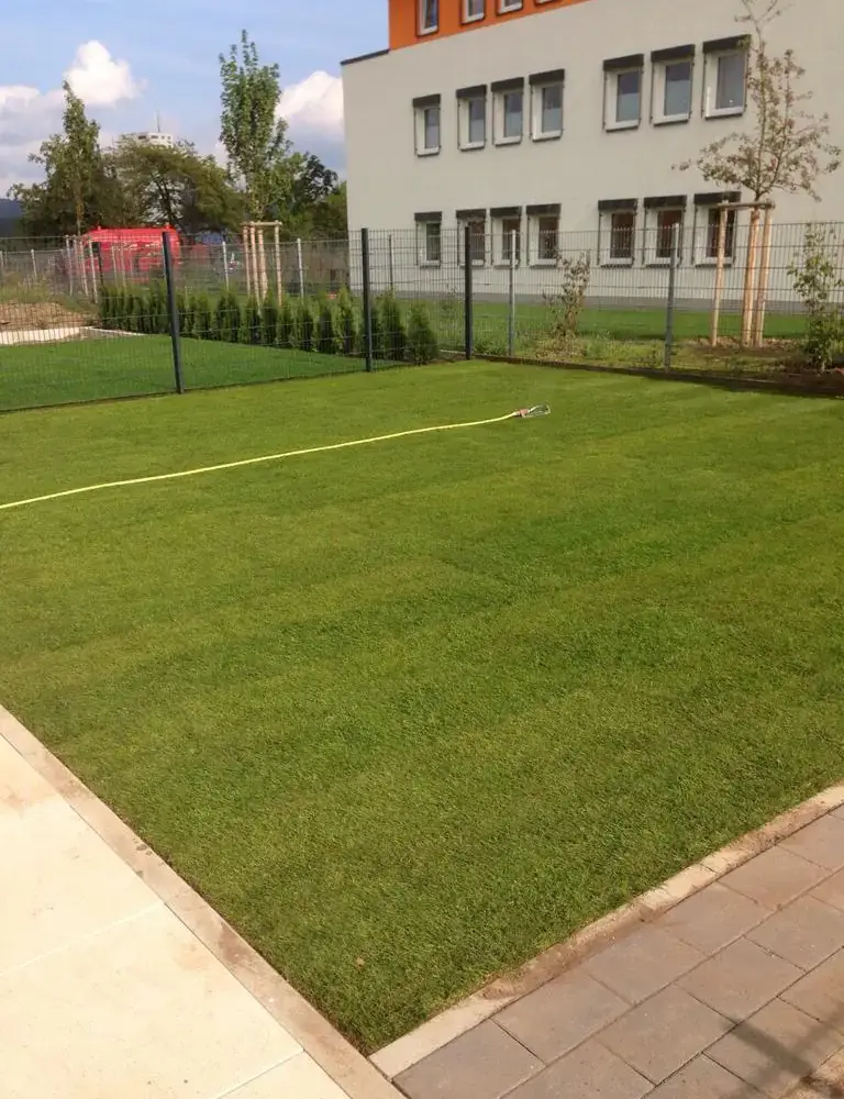Großzügige Rasenfläche an einer Wohnanlage