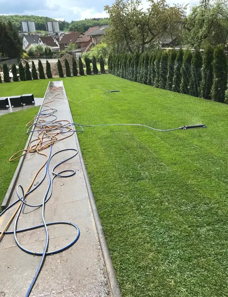 Neu verlegter Rollrasen mit Betoneinfassung entlang der Hecke